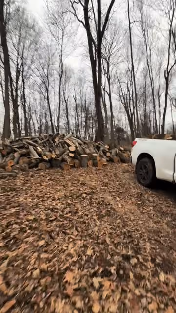 A stack of cut timber and a white pickup among winter trees.