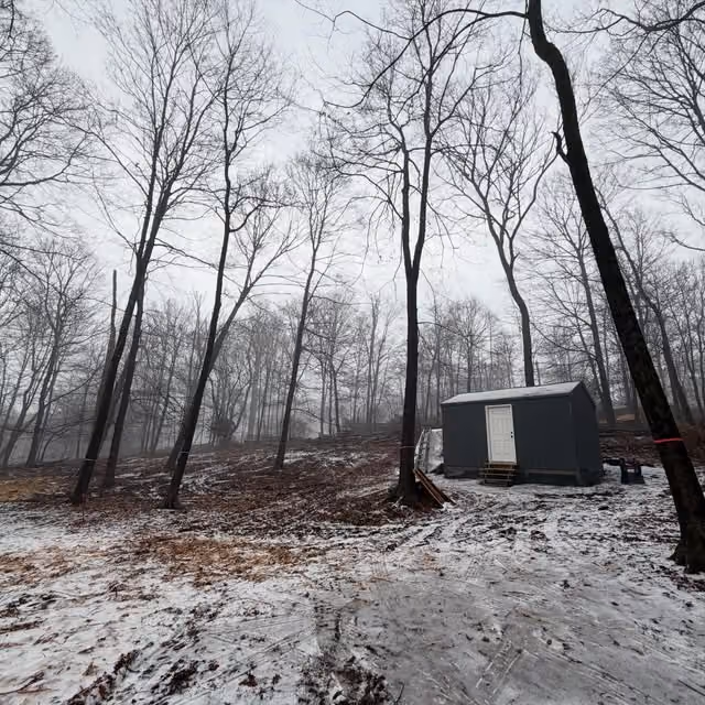 The completed dark shed with a white door in winter woodland.