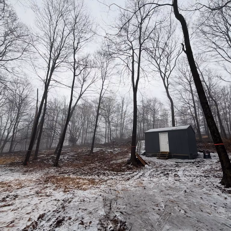 Small dark shed with light door in a winter wooded clearing.
