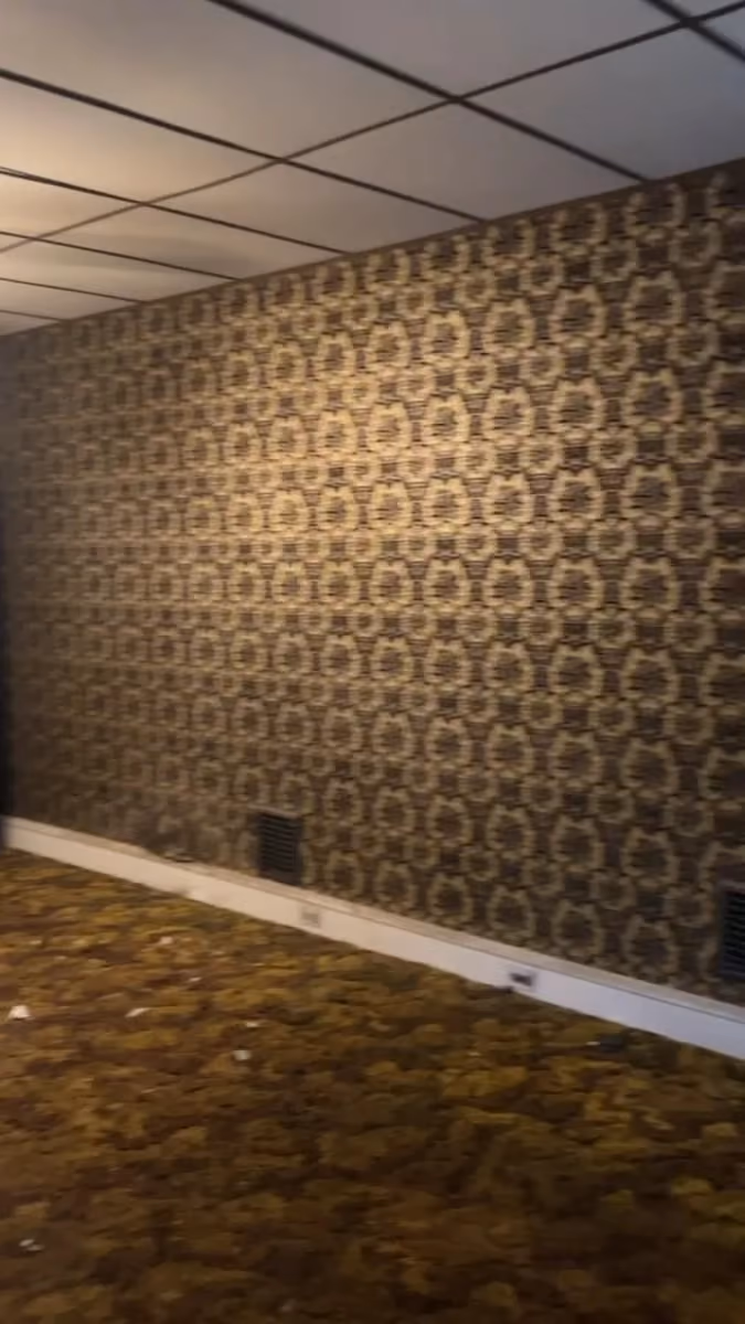 The original living space: patterned wallpaper, carpet, and a suspended ceiling.