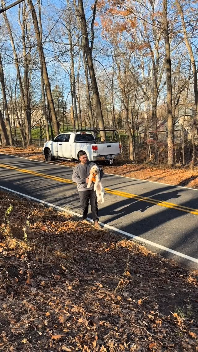 A road-side moment from the woodland journal.